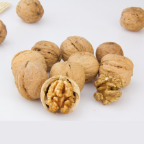 Dazzling raw walnut bird grain medium large parrot grain feed dragon cat hamster high nutrition grain 500 gr