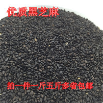 Yellowish parrot Wenbird supplement nutritious bird food feed Add to bird bred to fill black sesame 500 gr