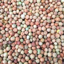 Red Peas Top Quality Flower Peas Peas Young Pigeon Food Pigeon Peas Pigeon Letter Pigeon Feed Hemp Beans 500 gr A Gram