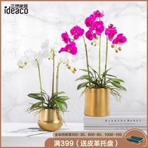 Just want to simulate the flower butterfly orchid set vase potted ornaments fake flower decoration flower living room silk flower decoration flower art