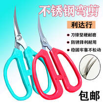 65 Meng steel cocked scissors elbow embroidery scissors fish head elbow scissors foam silicone trimming scissors