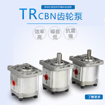 Hydraulic gear pump High pressure oil pump CBN-F304 306 310 316 320 325 Pressure oil cylinder