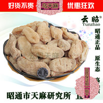 Wild Gastrodia 500g18-23 Head Yunnan Zhaotong selected Fresh small grass Dam No sulphur Ugastrodiae Zhengzong Dry stock