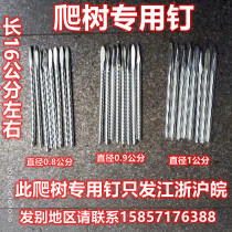 Steel nails Pecan tree special steel nails Tree nails Rebar head climbing galvanized rebar horse nails Horse king nails tree nails