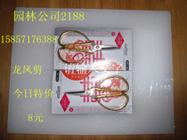 Dragon and Phoenix scissors