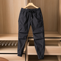 (Japan JIN mouth fabric) 20 men spring and summer thin style function wind loose beam foot stretch trousers tide 2769