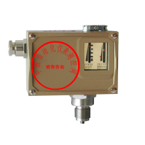 D520 7DD explosion-proof pressure controller D5207DD switching difference adjustable non-adjustable D520 explosion-proof control