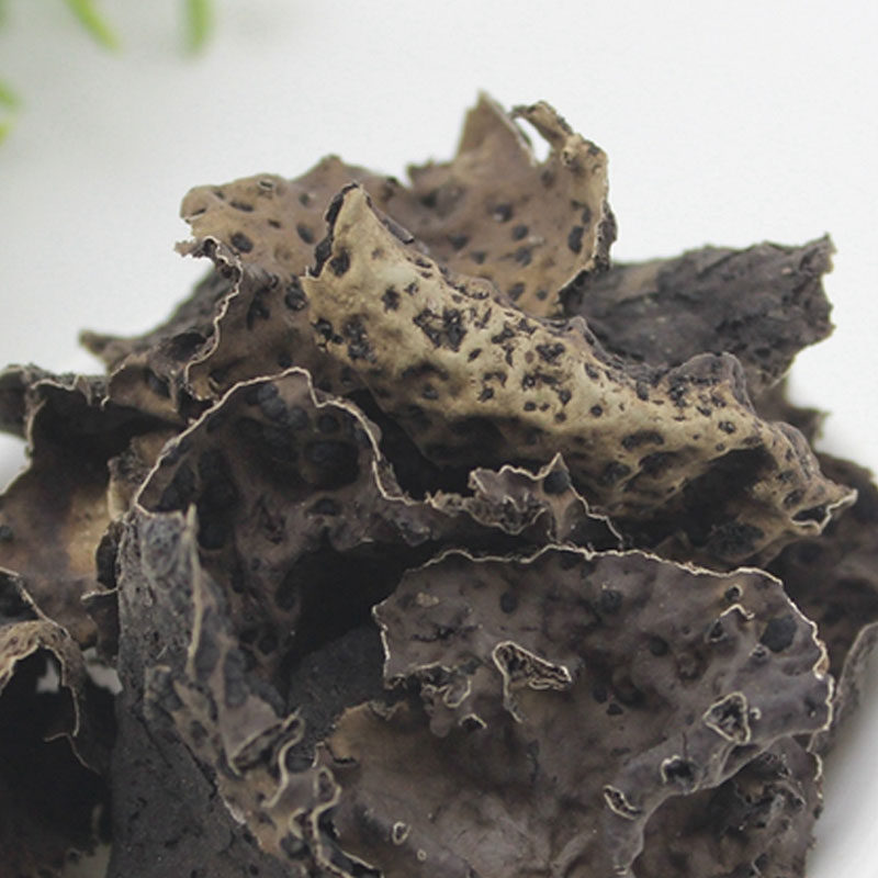 石耳干净无沙 岩耳 石衣 各种优质促销价500克2斤