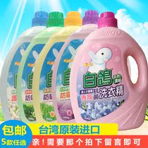 Taiwan imported white pigeon laundry detergent 3500g Anti-mite mildew antibacterial does not contain fluorescent agent laundry detergent