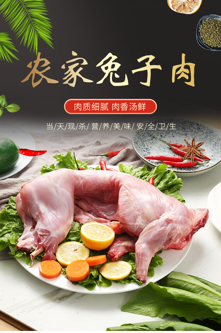 冷冻白条兔厂家
