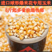 Imported popcorn special spherical corn popcorn corn burst corn Small corn popcorn raw materials