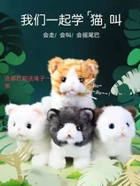 The Legier electric simulation Persian cat will go and will be called to shake the tail boy girl to give a courtesy plush toy