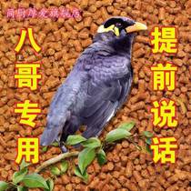 Eight-brother-in-food feed wrens goorbird food 8 Gothic special protein food and bird stock 8 Gothic birds feed 500g feed