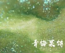 ◆ DREAMINK Fragrant Department · Green Plum Fruit Cake 20ml ◆ Color ink chromatography gradient hand account painting ink