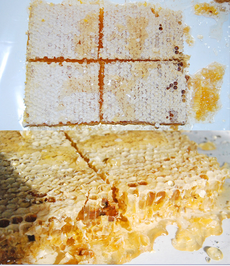 蜂蜜蜂巢蜜 嚼着吃的蜜纯正天然自产原生态野生百花峰巢蜜500g