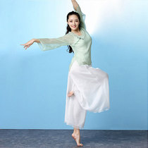 Butterfly Lovers little shadow classical dance practice suit Female ancient Chinese dance body rhyme yarn dress elegant wide-leg pants suit