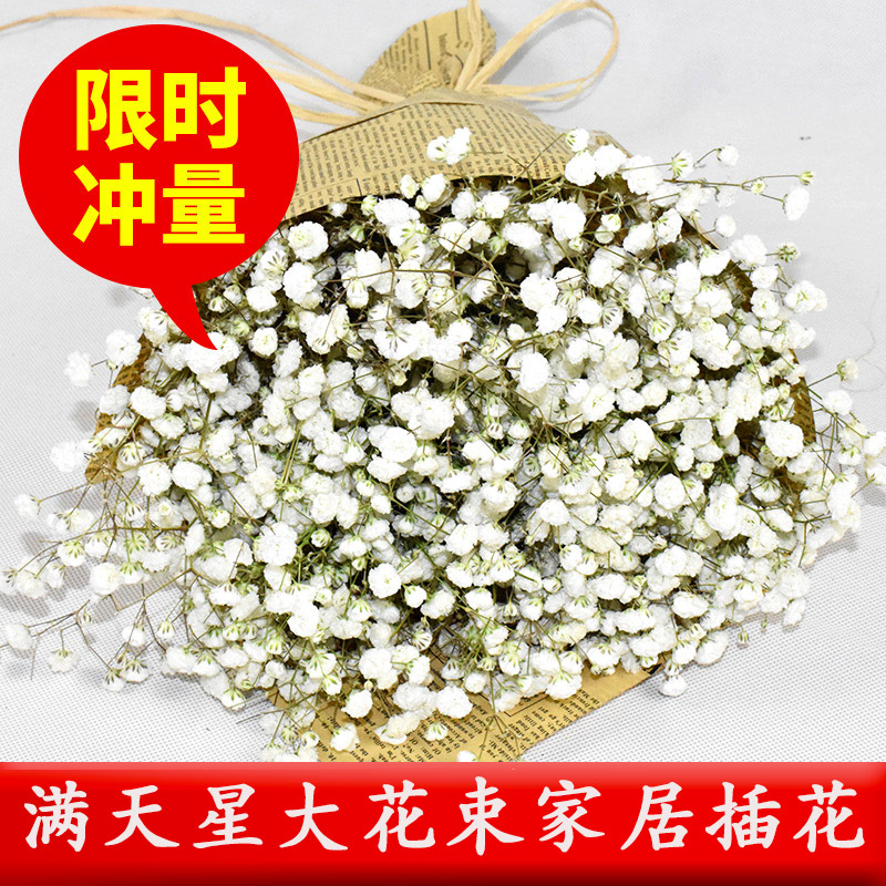 hot sale hot sale gypsophila dried flower bouquet yunnan natural air-dried birthday gift diy living room decoration flowers