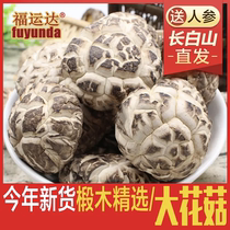 Northeast specialty non - wild special wood mushroom dry mushroom 500g dry mushroom bulk rubber