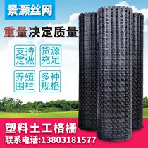 Plastic Fencing Nets Breeding Nets nets Nets Nets nets Breeding Duck Isolated Net Guardrails Corn Geotechnical Grilles