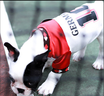 Football World Cup Pets Clothes Dogs Summer Clothing Breathable Thermal Insulation Teddy Fou Mini Dog Kitty Clothes