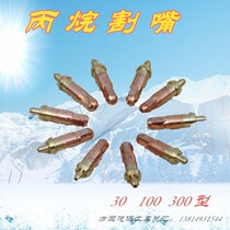 Ningbo Longxing cutting nozzle oxygen acetylene gas cutting nozzle manual G01-30 G03-100 plum blossom ring cutting nozzle