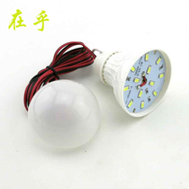 12vLED bulb 5W power generation experimental indoor lighting Emergency light source Field tent light crocodile clip line