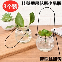 Wall hanging hanging glass vase simple small hanging bottle with wire hook hydroponic green dill plant container flowerpot 3