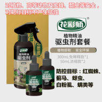 Florist natural insecticidal essential oil flower plant concentrated physical non-toxic insect repellent removal red spider thrips aphid
