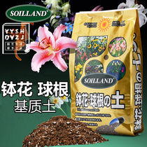 SOILLAND pot flower bulb root plant nutrient soil daffodil lily hyacinth horticultural granular soil to prevent root rot