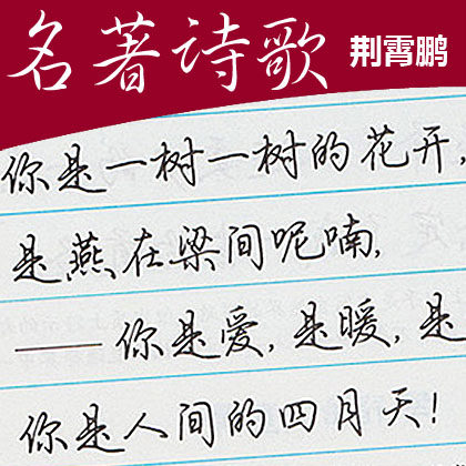 荆霄鹏大学生中学生练字硬笔行楷连笔字 成人行书钢笔临摹字帖_7折