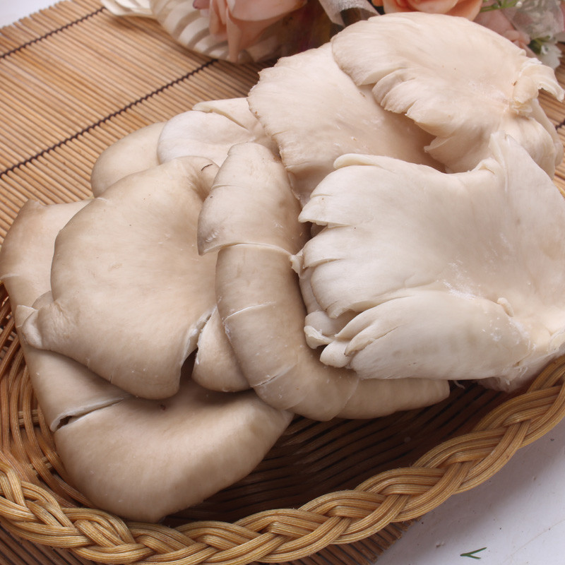 fresh mushrooms 200g/box