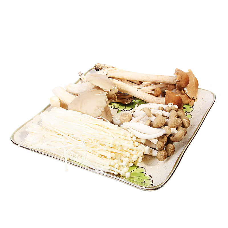 selected 4 in 1 mushrooms 300g
