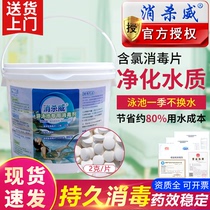 Antiseptic swimming pool disinfectant disinfectant tablets chlorine gas pills 2 grams instant effervescent chlorine tablets 5kg bath water pool