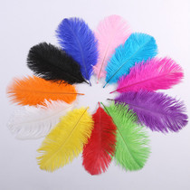 15-20 Color ostrich hair crafts decorative feathers DIY handmade jewelry feather gift box filler