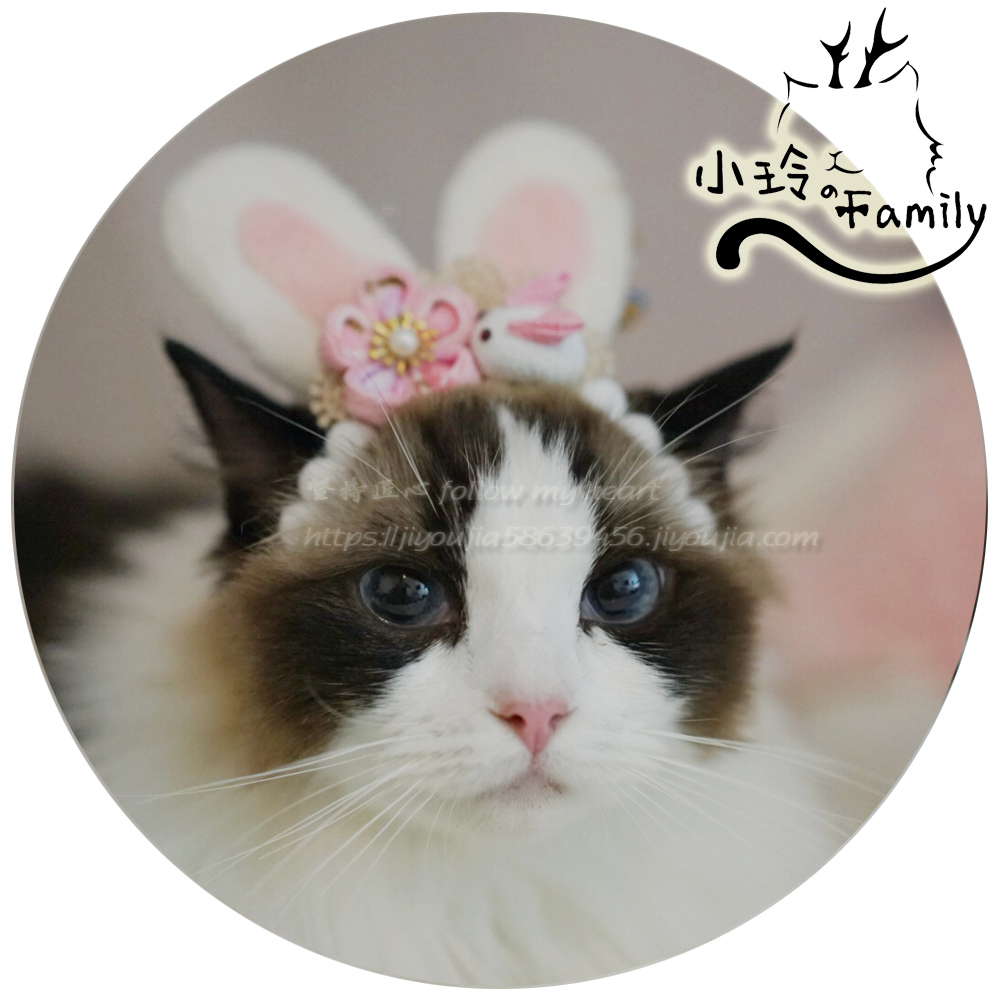 Xiao Ling Family Hand DIY Mid-Autumn Rabbit and Winddog Hat Owl Head Headlines are funny