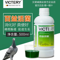 Hannover Dove Medicine 100 Beneficial Live Bacteria Parrot Pigeon Salmonella Intestinal Live Bacteria King Probiotics 500ml A Bottle