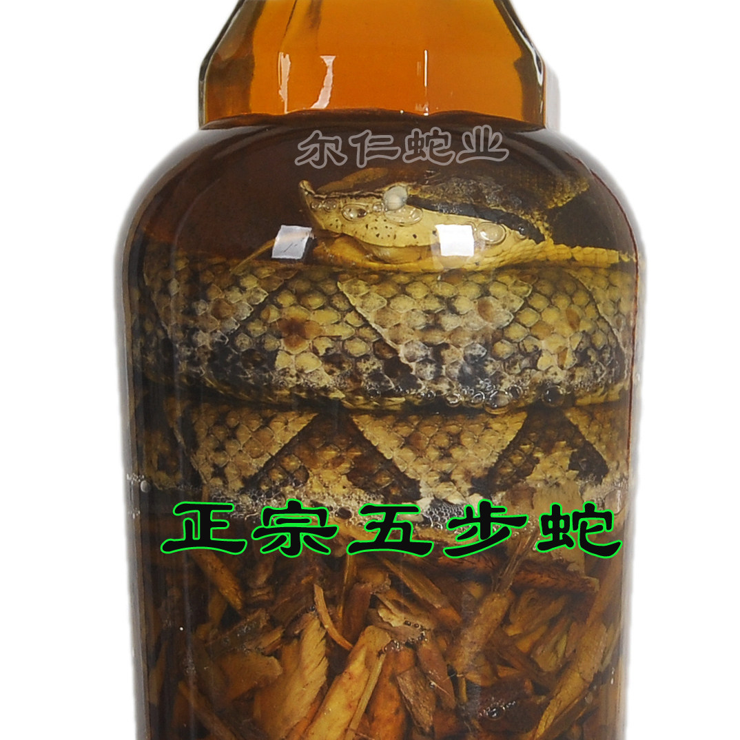 蛇酒正宗五步酒60度纯粮食酒浸泡含蛇和药材2斤装可泡5斤养生蛇酒