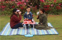 Outdoor Oxford cloth picnic mat thickened waterproof and moisture-proof flocking mat floor mat enlarged beach mat picnic cloth tent mat