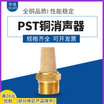 SNS shen chi qi dong muffler PST-M5 01 02 03 04 06 10 pneumatic components muffler