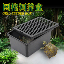 New multi-purpose reptile box small pet transport breathable packaging box plastic feeding box horned frog turtle hamster box