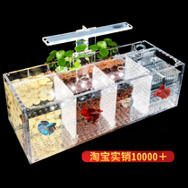 Betta breeding and hatching isolation box Free water desktop small acrylic ecological creative professional group row cylinder