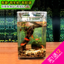 Landscape ecological desktop fish tank water-free small turtle tank creative acrylic reptile feed box water pump filter