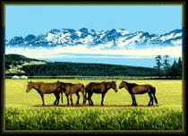 Ulan Bator Mongolia tapestry 1 6mx2 1m