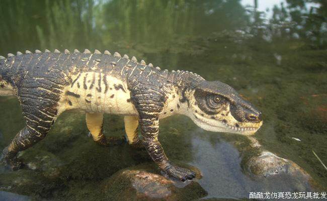美国safari正品波斯特鳄287329后鳄龙仿真动物模型玩具无毒无味
