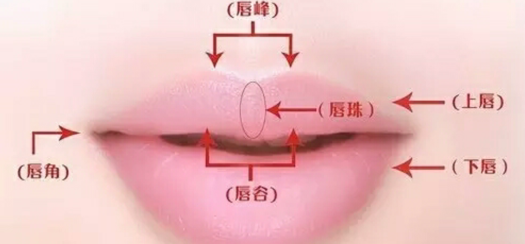 不同的唇形怎么涂口红?难道你不想看看!