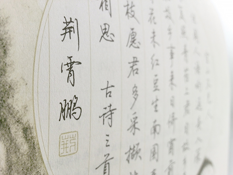 成人字帖练行书墨点荆霄鹏情趣防a成人女性7天学书法包邮字帖英语电击正品图片