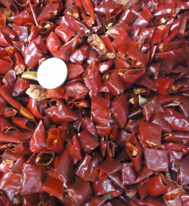 四川干辣椒节500克一斤 朝天椒干辣椒段 农家干辣椒特辣超辣超香