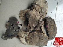 Wild thin skin cilium bacteria thin pinhole bacteria thin pileback bacteria 500g free slices of powder