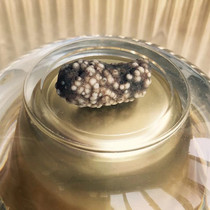 The black god of wealth has been proliferated rare 3 2cm