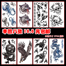 Dragon Pattern Tattoo Sticker Waterproof Male Lasting Personality Scorpion Eagles Wolf Skull Skull Skull Super Cool Halloween Stickers